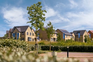 World Environment Day: Building homes to last