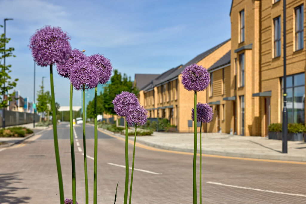Cable-Wharf-Northfleet-South-Midlands-Summer-Streetscene-2024-65782.jpg
