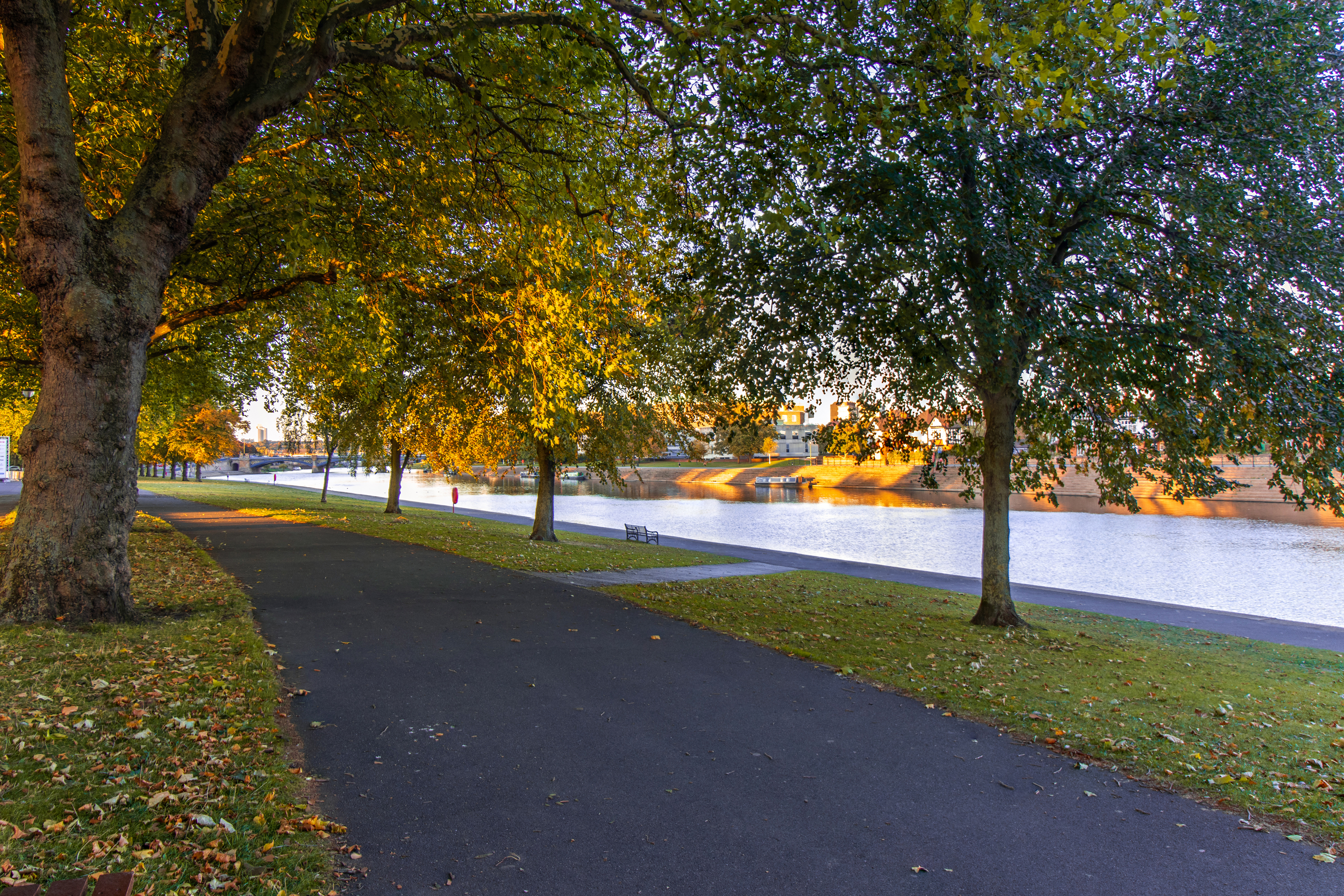 nottingham-park-2.jpg