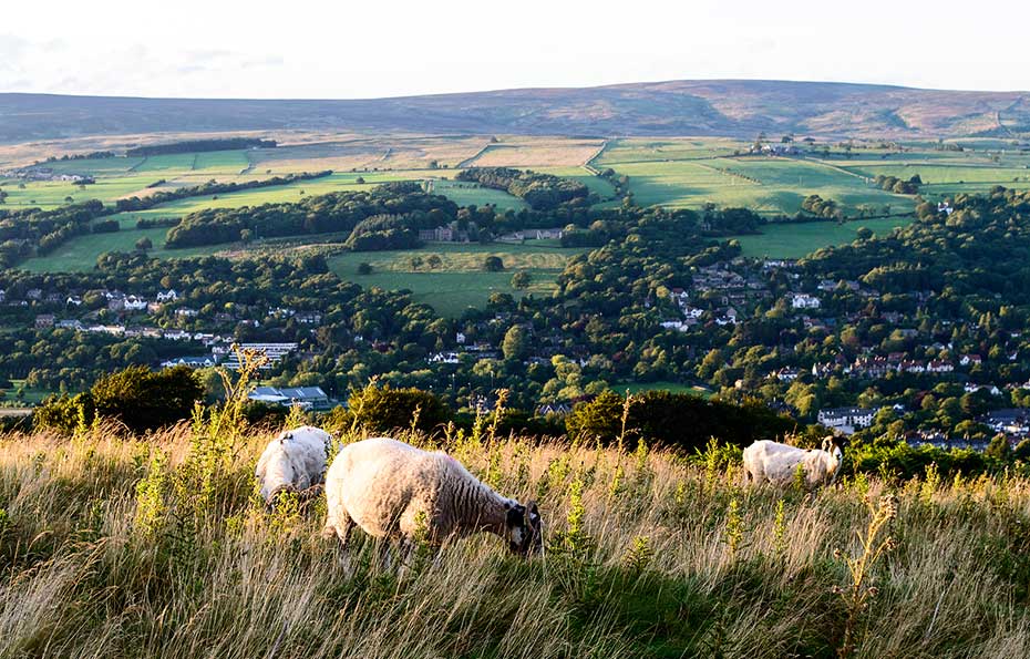 Ilkley